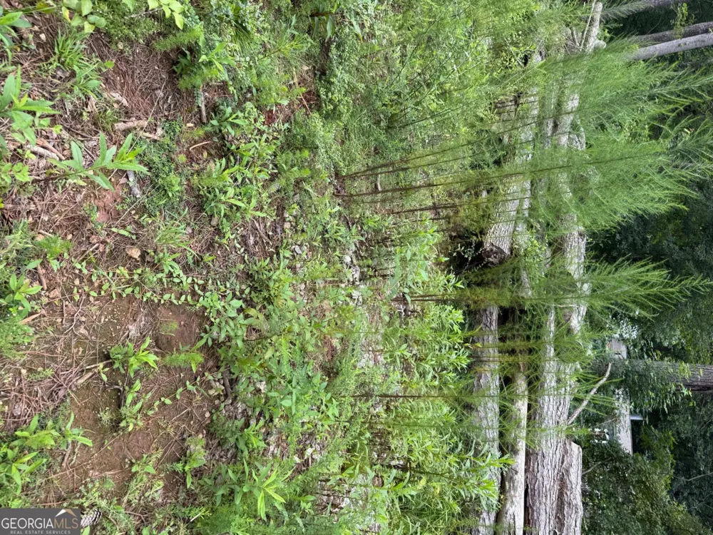 0 Maple TRL Sharpsburg, GA 30277