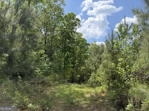 005 George Milling RD
