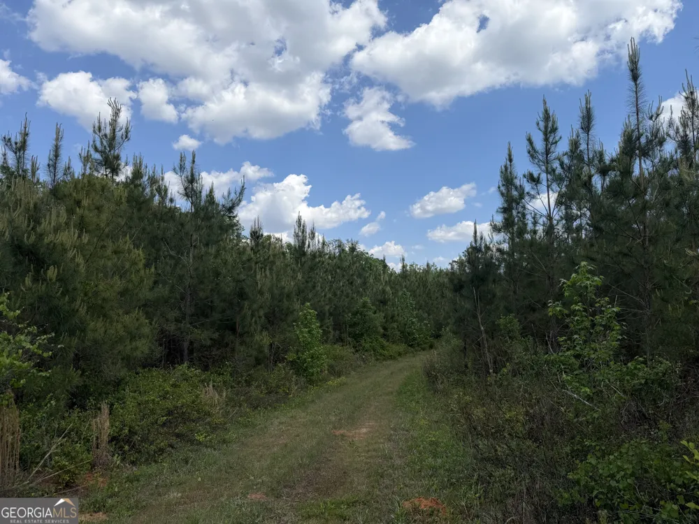 005 George Milling RD Cuthbert, GA 39840