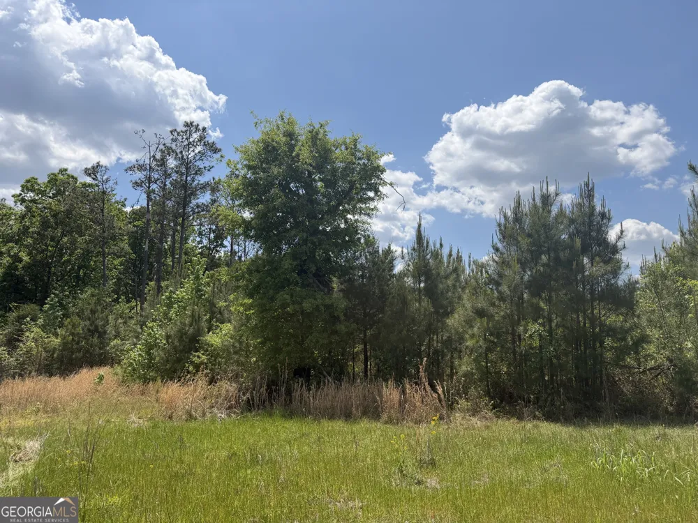 005 George Milling RD Cuthbert, GA 39840