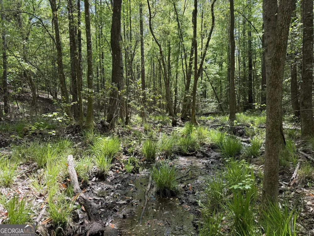 005 George Milling RD Cuthbert, GA 39840