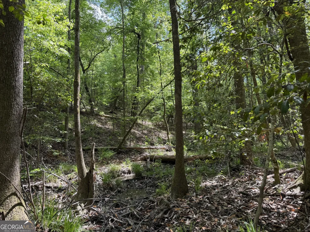 005 George Milling RD Cuthbert, GA 39840