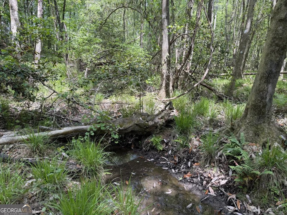 005 George Milling RD Cuthbert, GA 39840