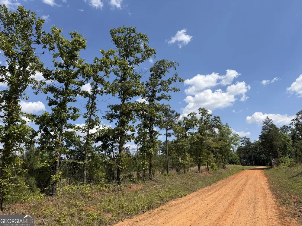 005 George Milling RD Cuthbert, GA 39840