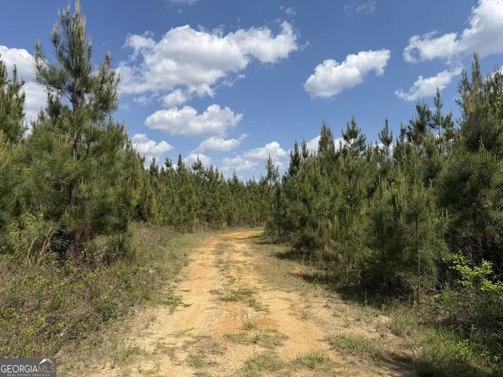 005 George Milling RD Cuthbert, GA 39840