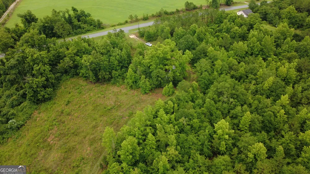 0 HWY 165 Eastman, GA 31023
