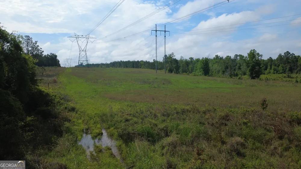 0 HWY 165 Eastman, GA 31023