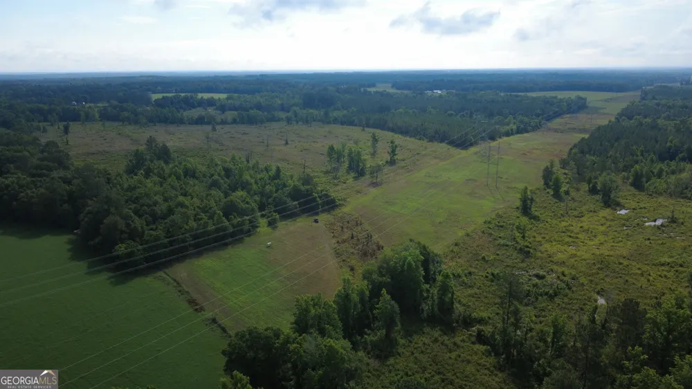 0 HWY 165 Eastman, GA 31023