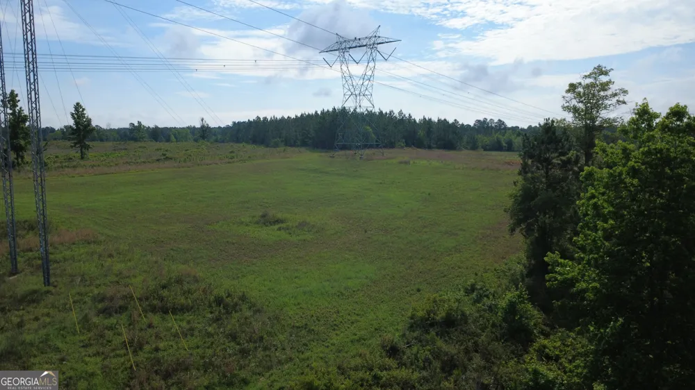 0 HWY 165 Eastman, GA 31023