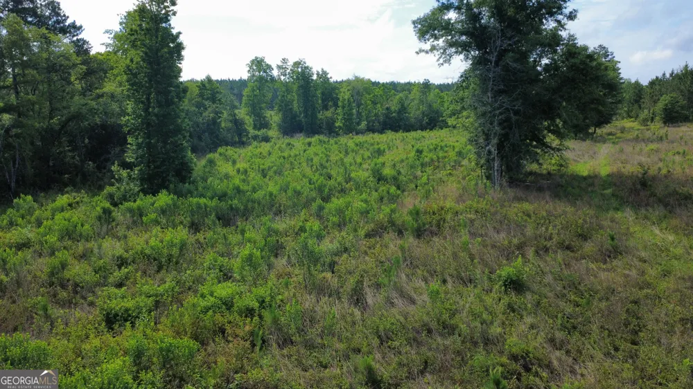 0 HWY 165 Eastman, GA 31023