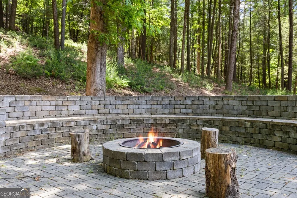 91 River RD Cherry Log, GA 30522
