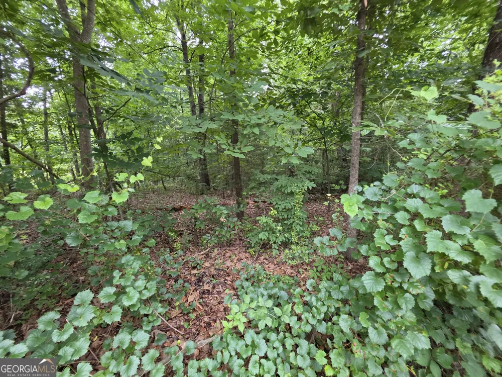 LOT 15 Harbor Heights CIR Lavonia, GA 30553
