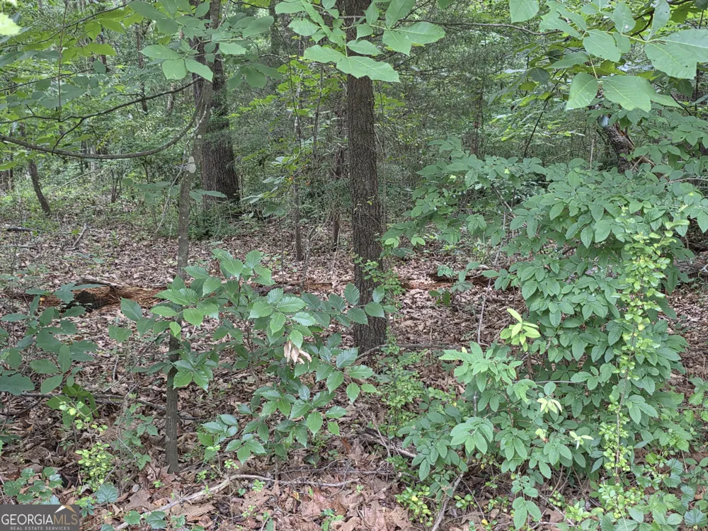 LOT 15 Harbor Heights CIR Lavonia, GA 30553