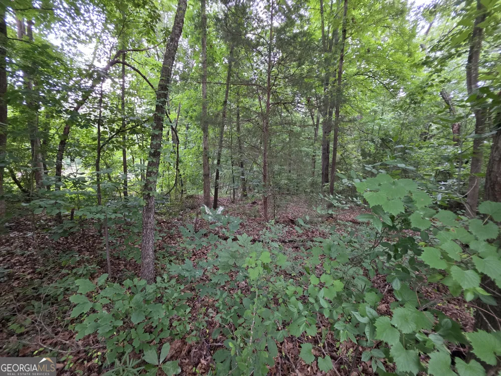 LOT 15 Harbor Heights CIR Lavonia, GA 30553