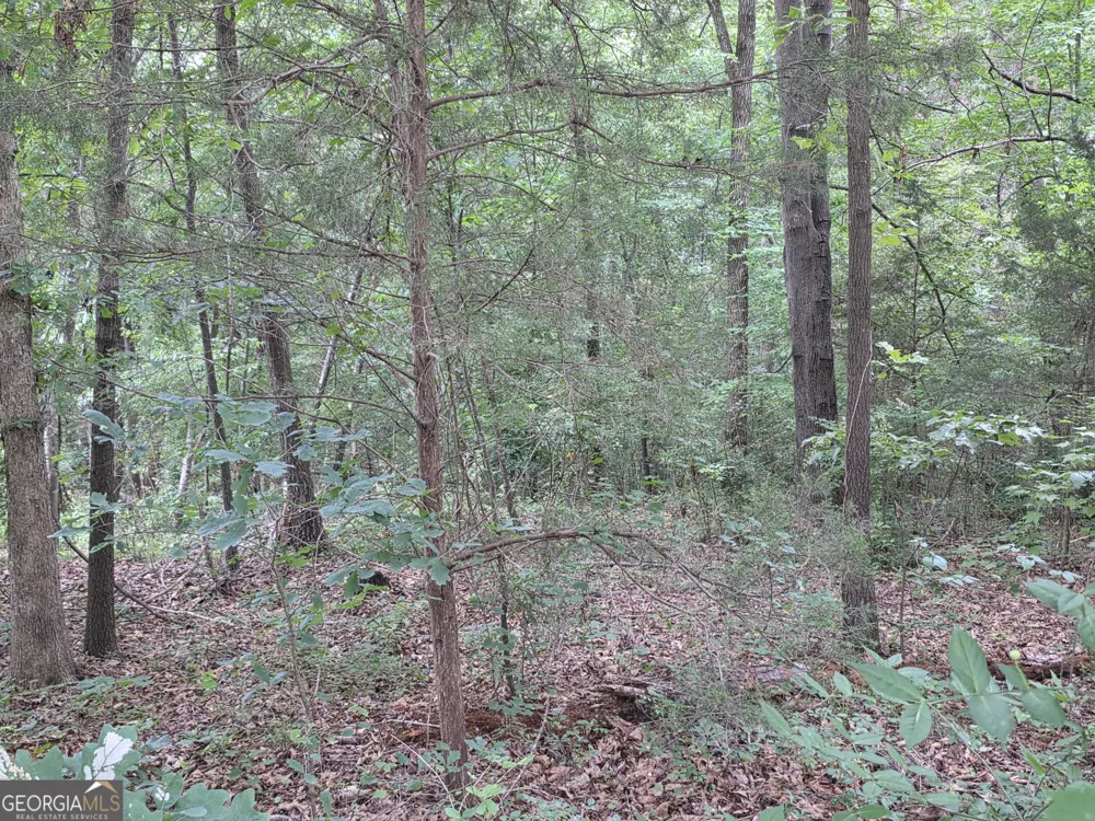 LOT 15 Harbor Heights CIR Lavonia, GA 30553