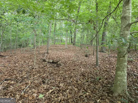 LOT 270 Arrow LN