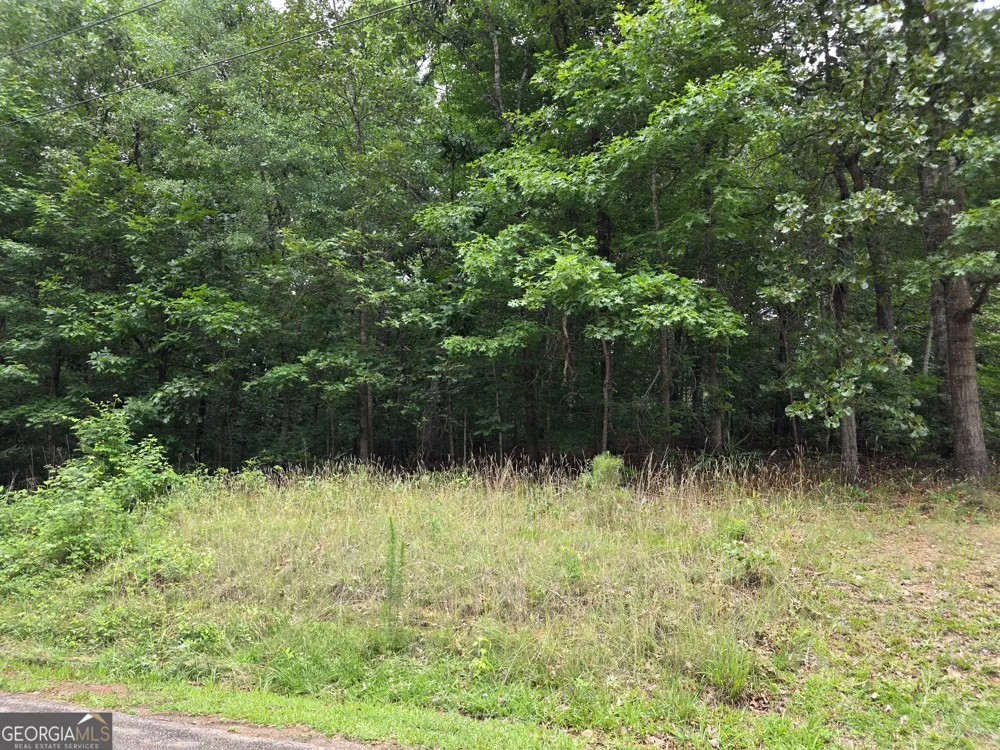 LOT 270 Arrow LN Lavonia, GA 30553