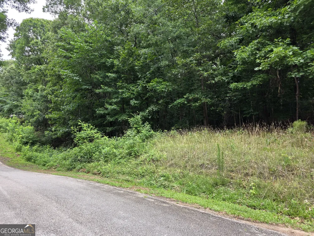LOT 270 Arrow LN Lavonia, GA 30553