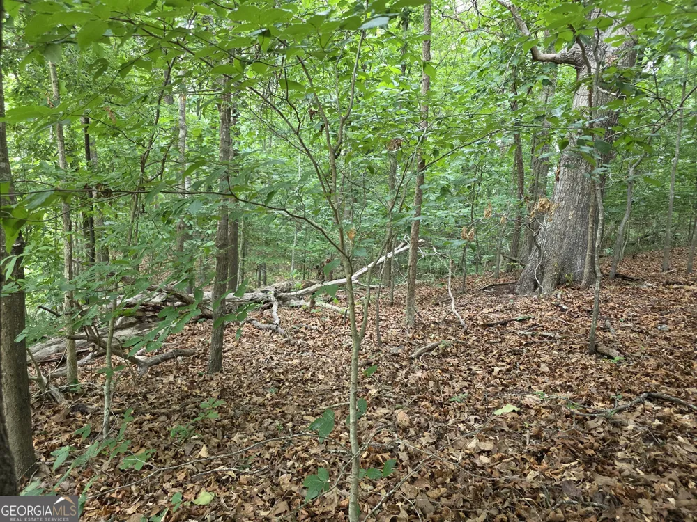 LOT 270 Arrow LN Lavonia, GA 30553