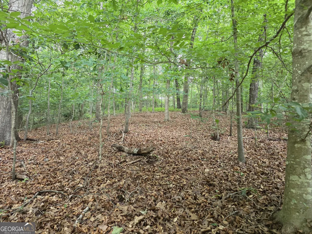 LOT 270 Arrow LN Lavonia, GA 30553