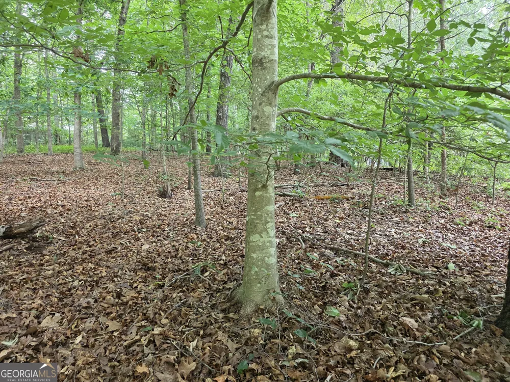 LOT 270 Arrow LN Lavonia, GA 30553