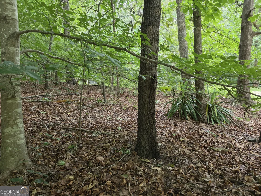 LOT 270 Arrow LN Lavonia, GA 30553