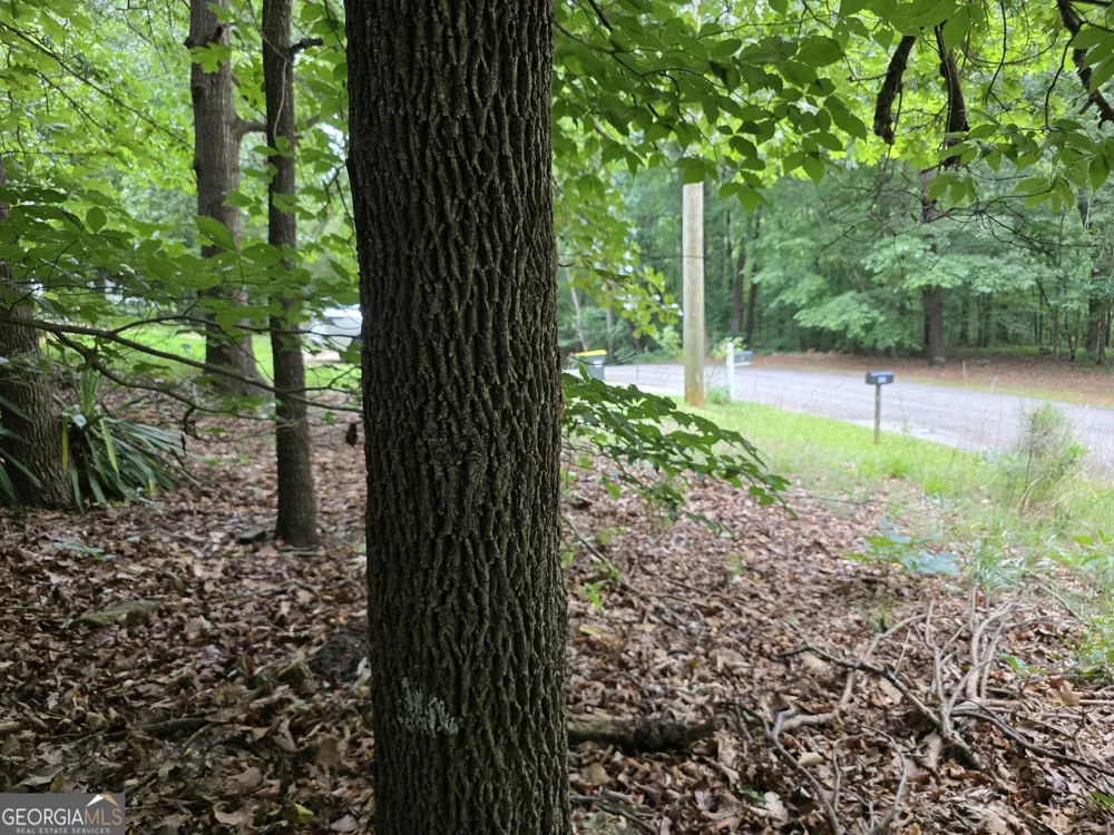LOT 270 Arrow LN Lavonia, GA 30553