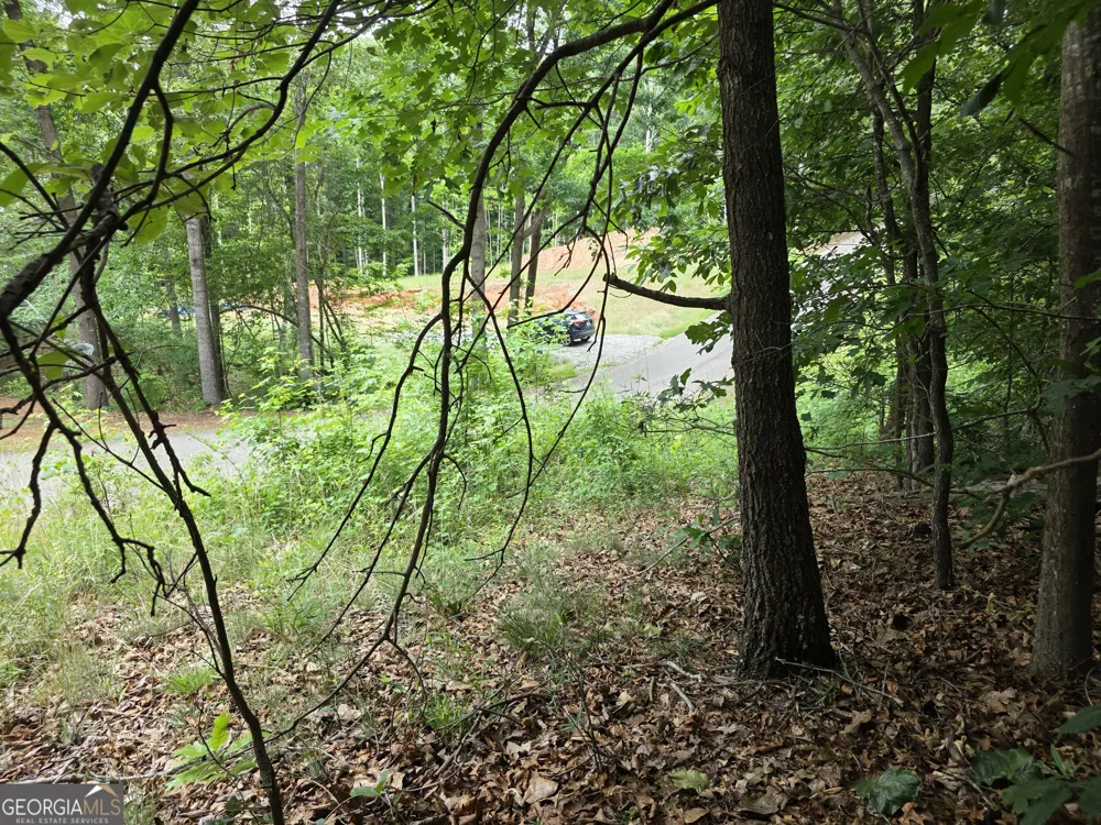 LOT 270 Arrow LN Lavonia, GA 30553