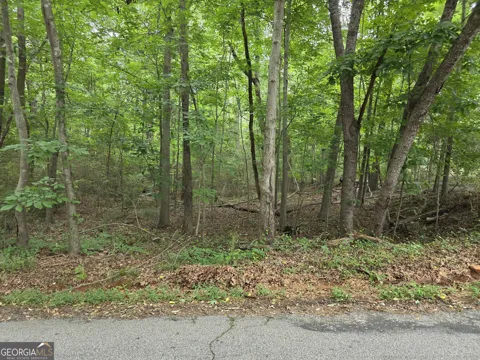 LOT 109 Arrowhead DR