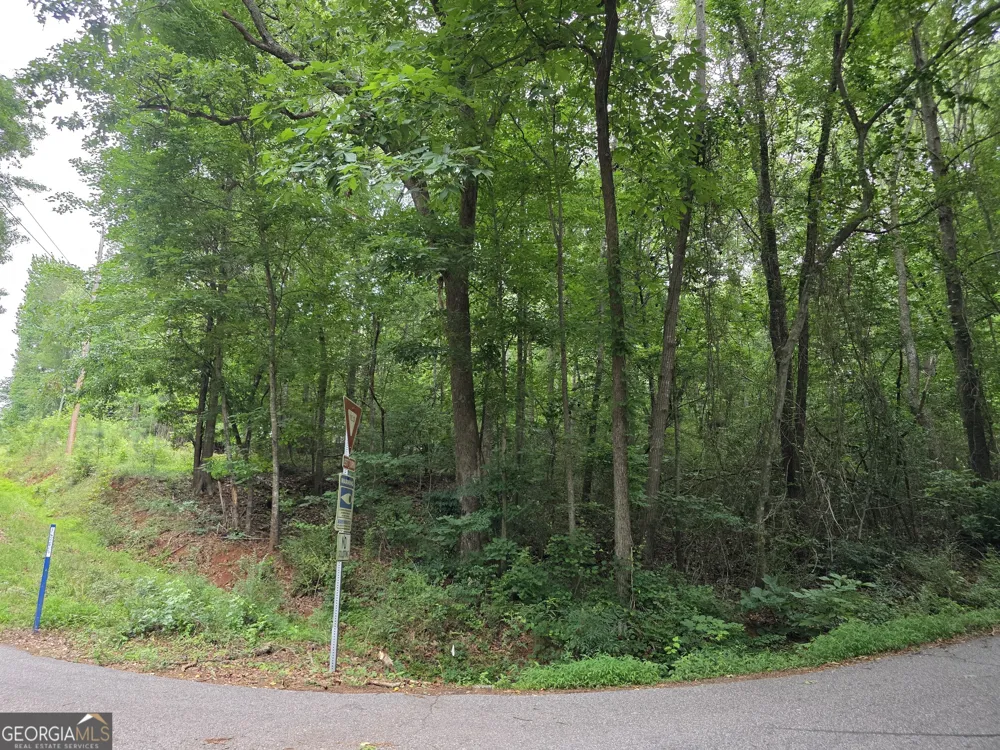 LOT 109 Arrowhead DR Lavonia, GA 30553