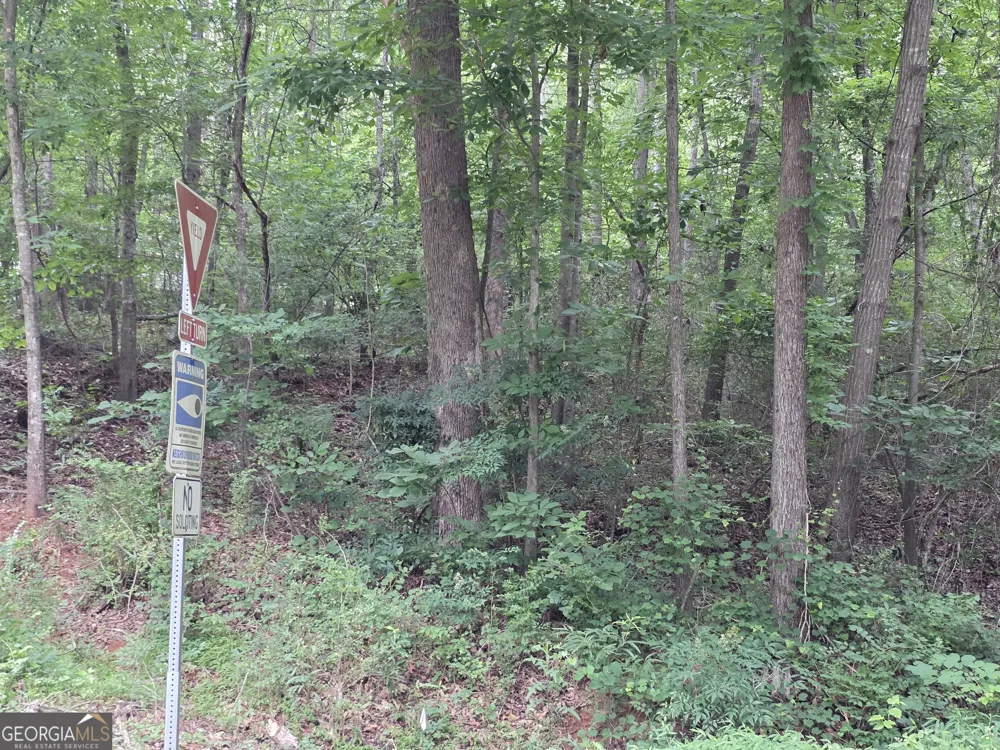 LOT 109 Arrowhead DR Lavonia, GA 30553