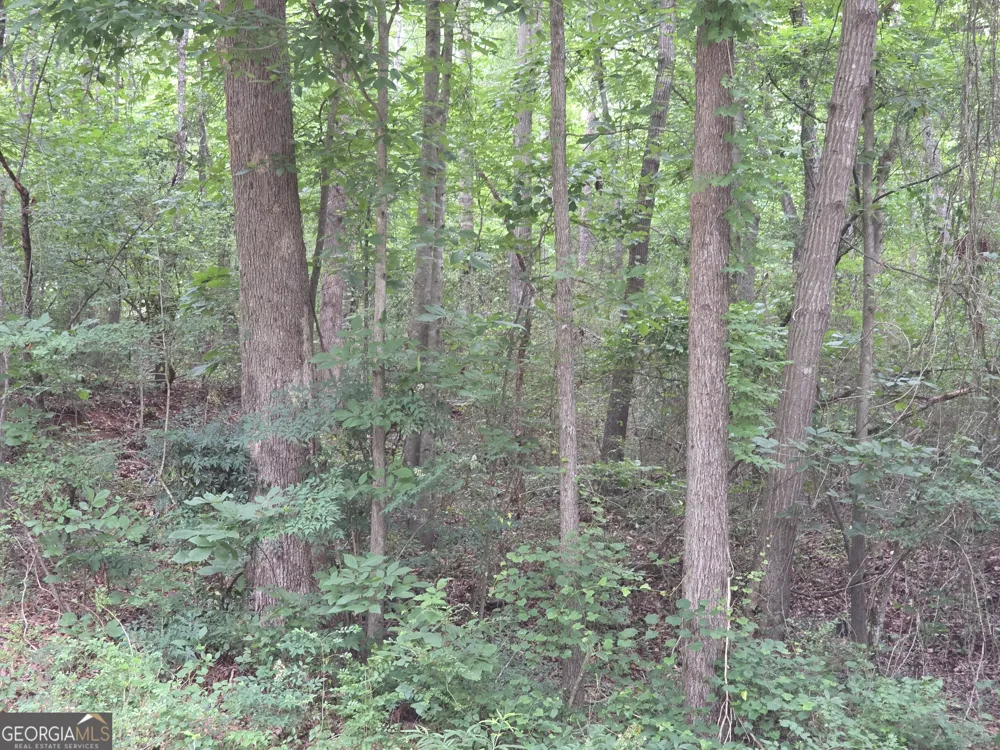 LOT 109 Arrowhead DR Lavonia, GA 30553