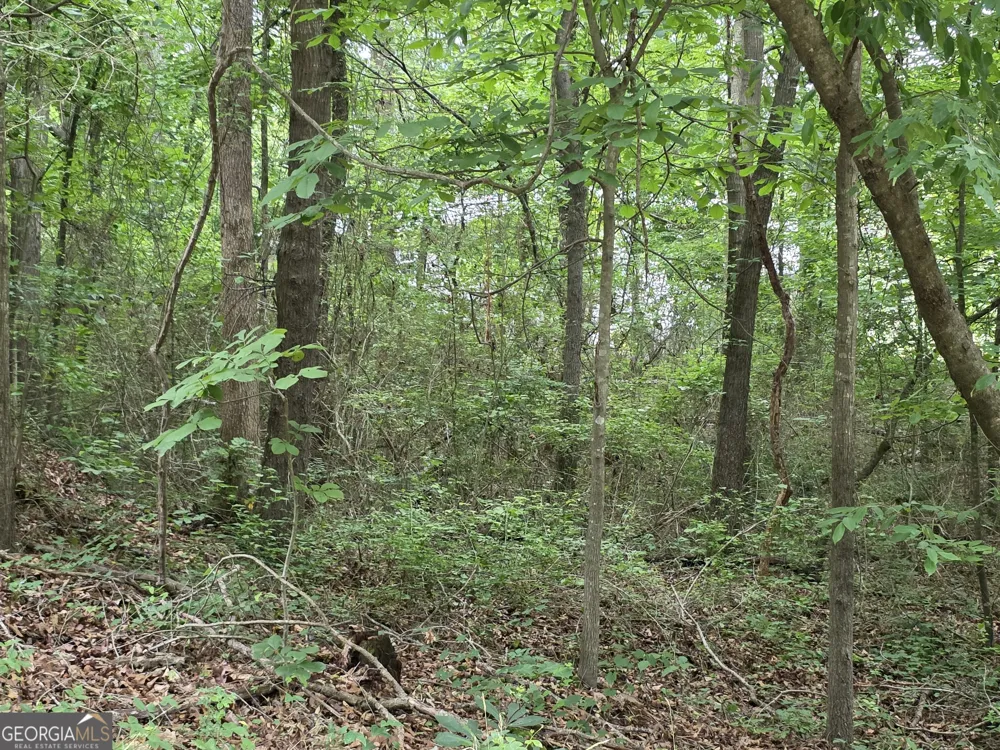 LOT 109 Arrowhead DR Lavonia, GA 30553