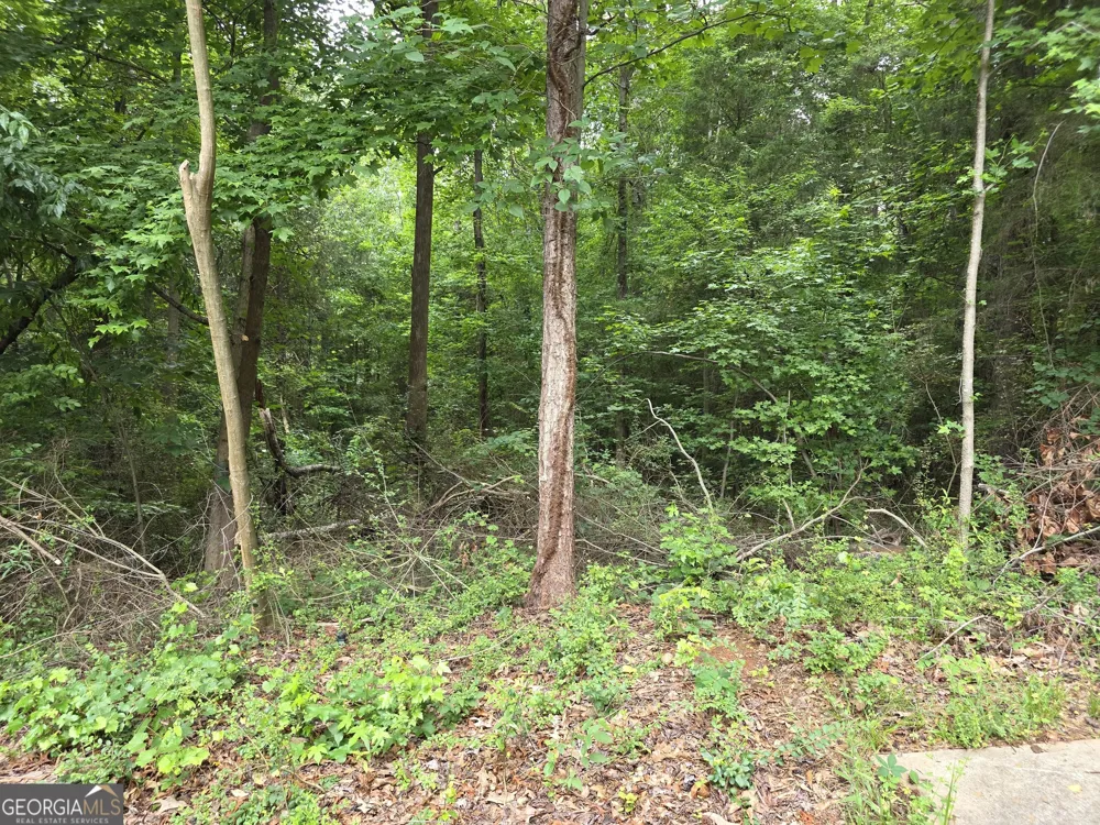 LOT 109 Arrowhead DR Lavonia, GA 30553