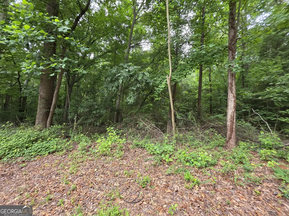 LOT 109 Arrowhead DR Lavonia, GA 30553