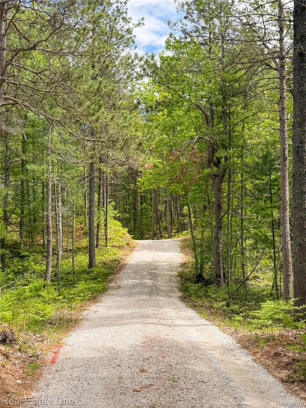 251 S Lake Michigan Rd S Doyle Township, MI 49840