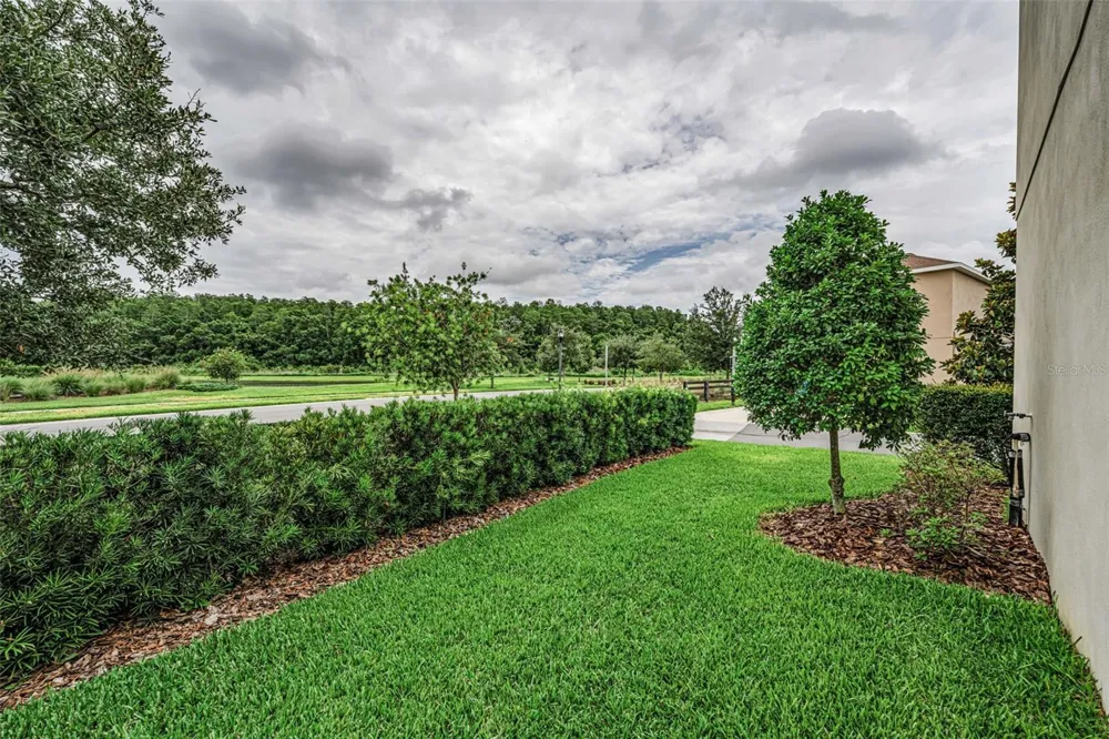 13760 STEVENSON LANE Odessa, FL 33556