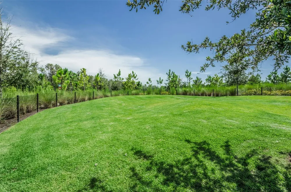 13760 STEVENSON LANE Odessa, FL 33556