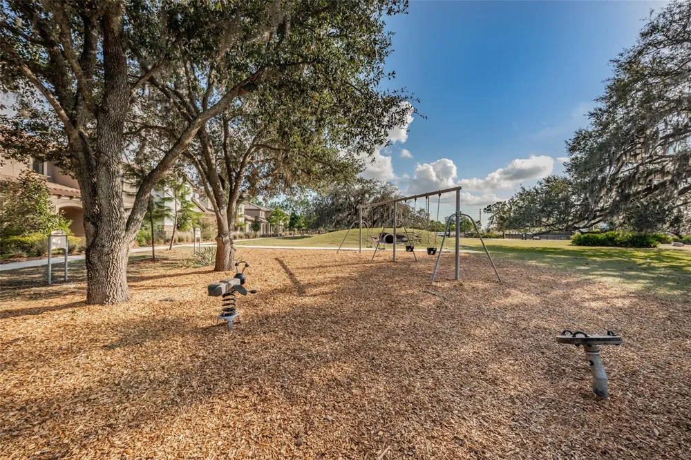 13760 STEVENSON LANE Odessa, FL 33556