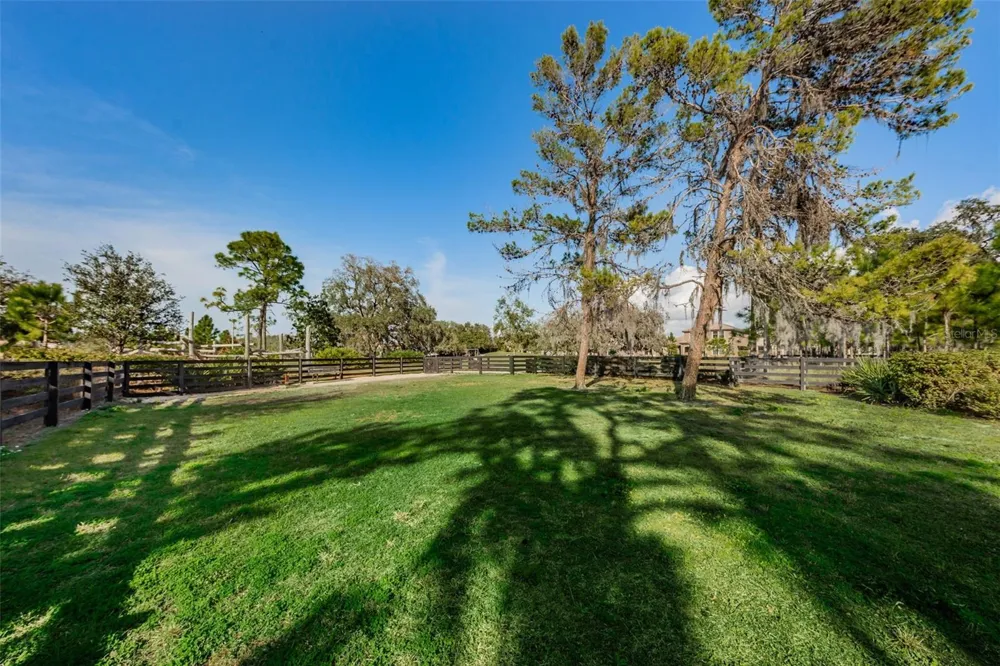 13760 STEVENSON LANE Odessa, FL 33556