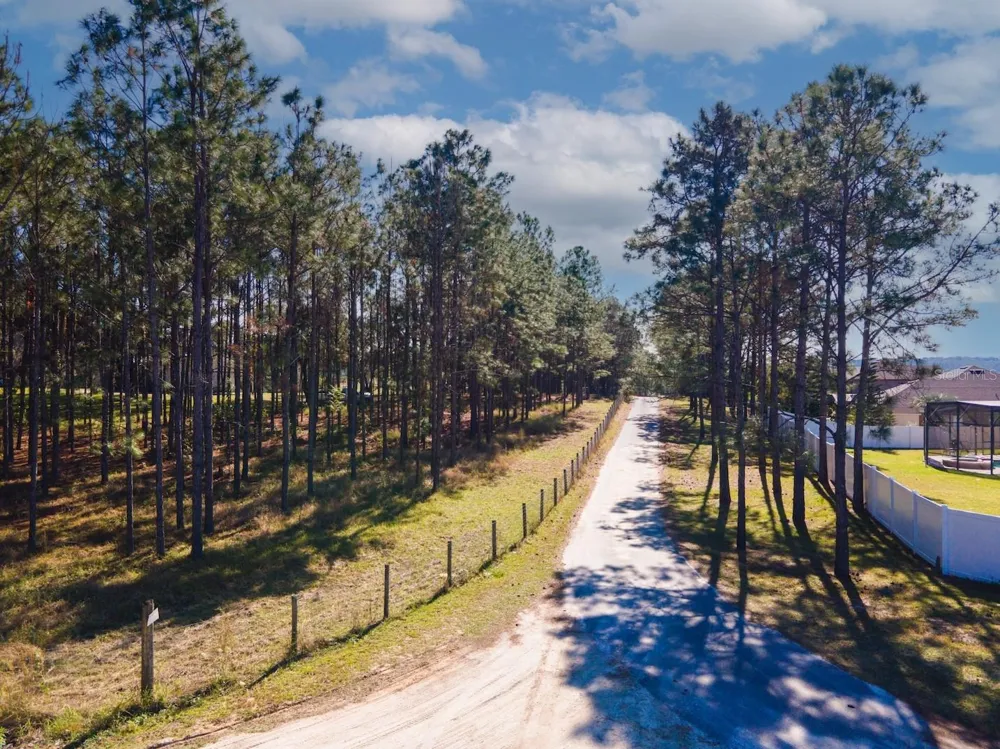 LOST LAKE ROAD Clermont, FL 34711