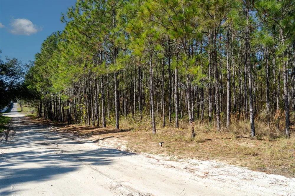 LOST LAKE ROAD Clermont, FL 34711