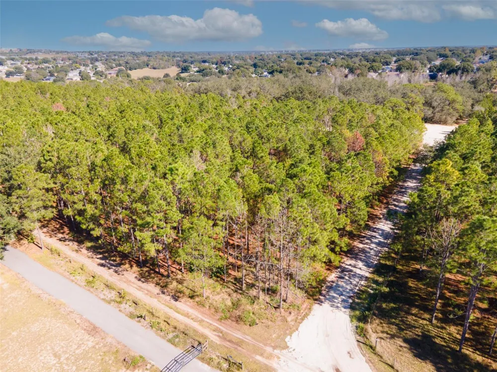 LOST LAKE ROAD Clermont, FL 34711