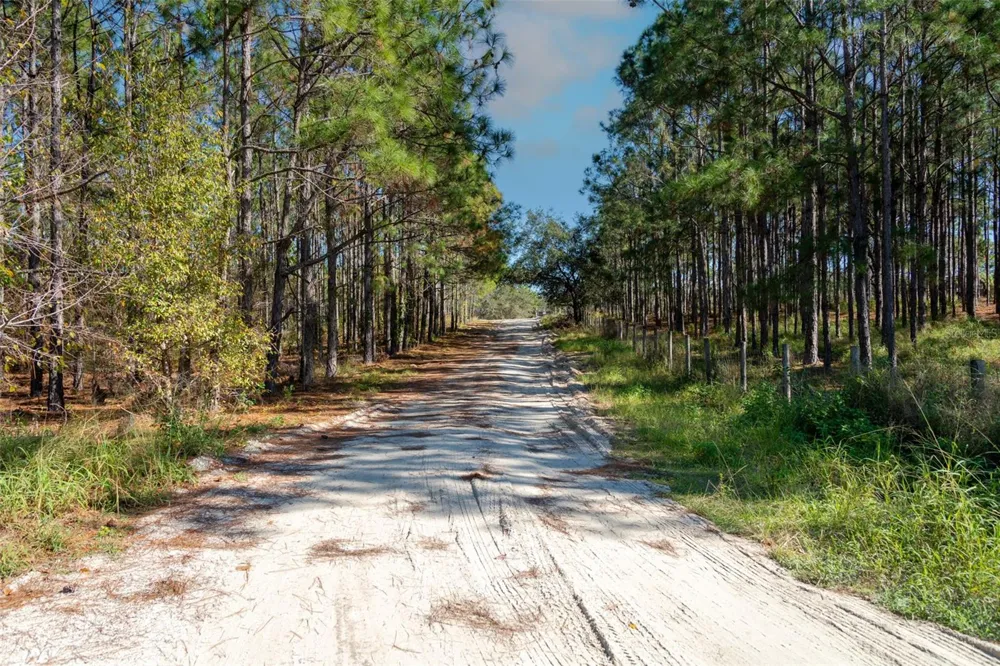 LOST LAKE ROAD Clermont, FL 34711