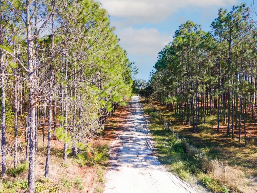 LOST LAKE ROAD Clermont, FL 34711