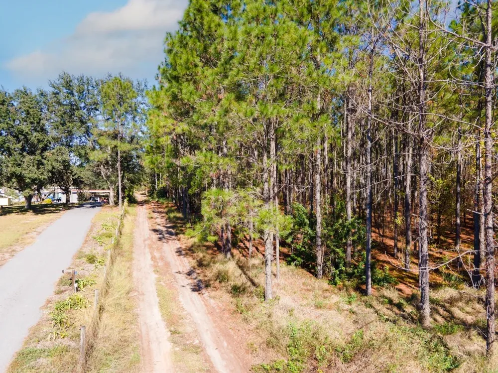 LOST LAKE ROAD Clermont, FL 34711