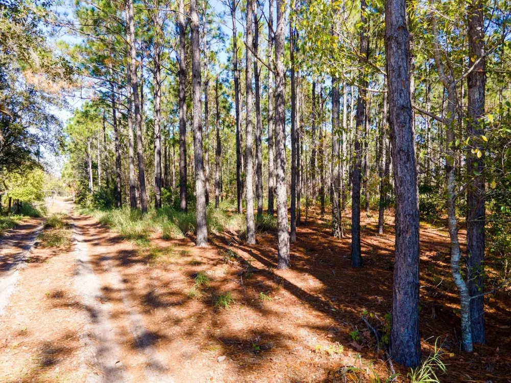 LOST LAKE ROAD Clermont, FL 34711