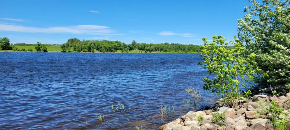 1634 County Road 117 Baudette, MN 56623