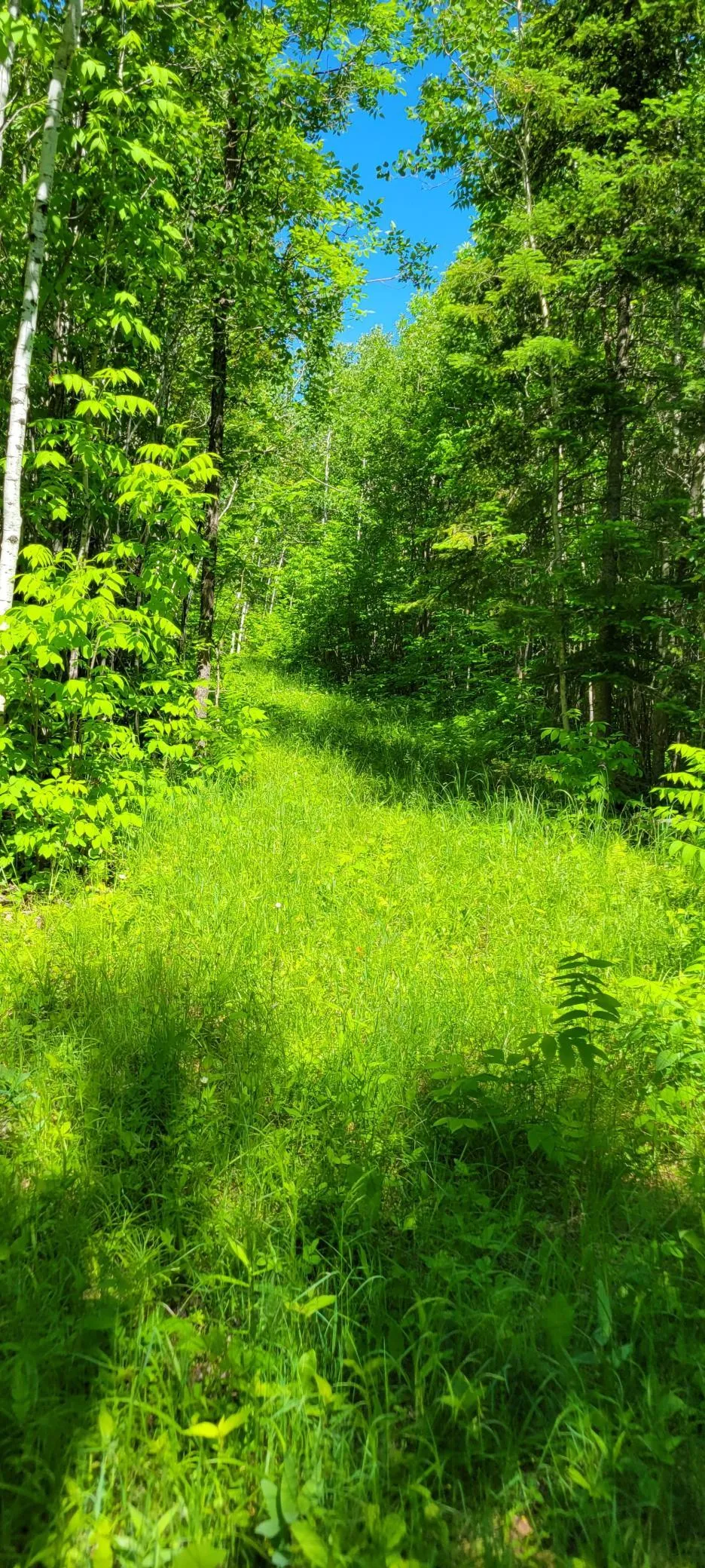 1634 County Road 117 Baudette, MN 56623