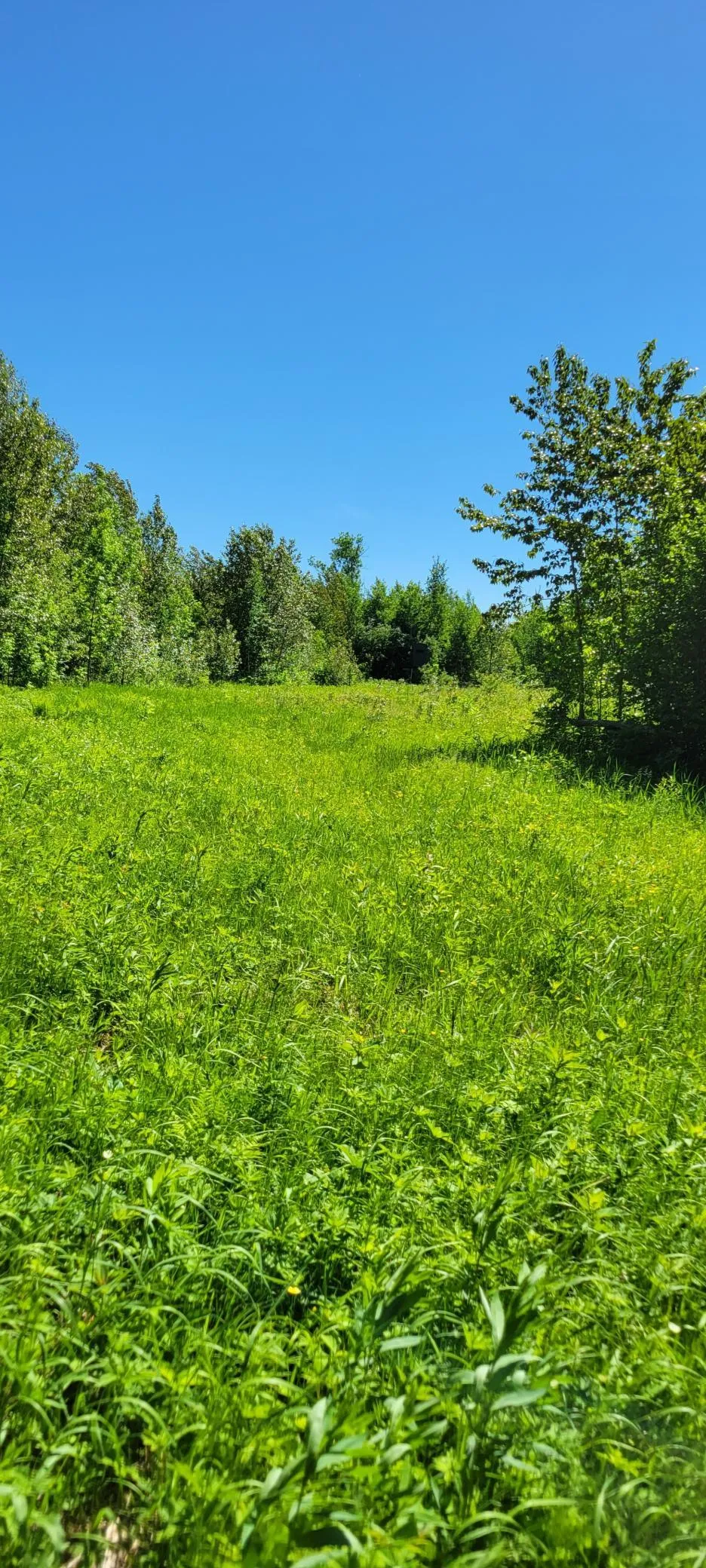 1634 County Road 117 Baudette, MN 56623